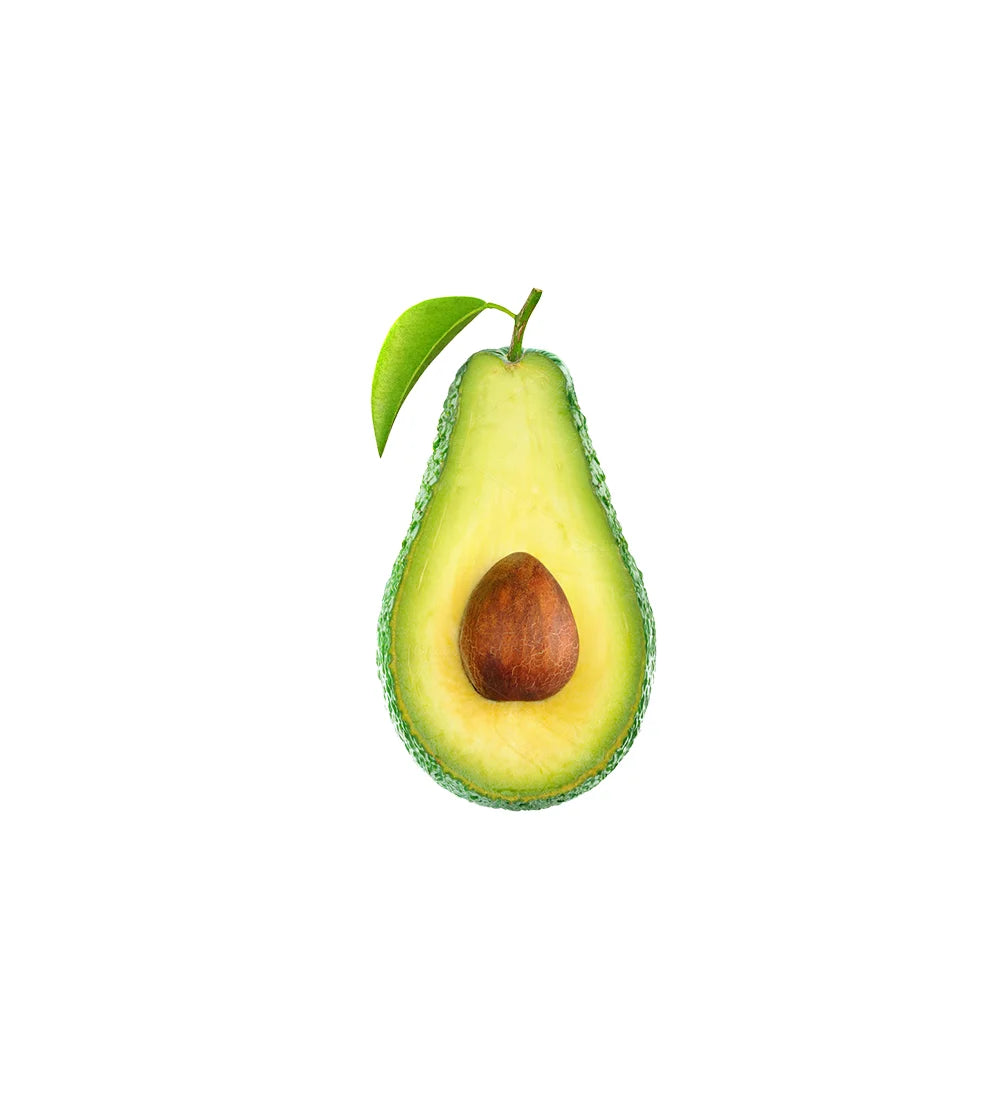 A Grade Avocado Fruit