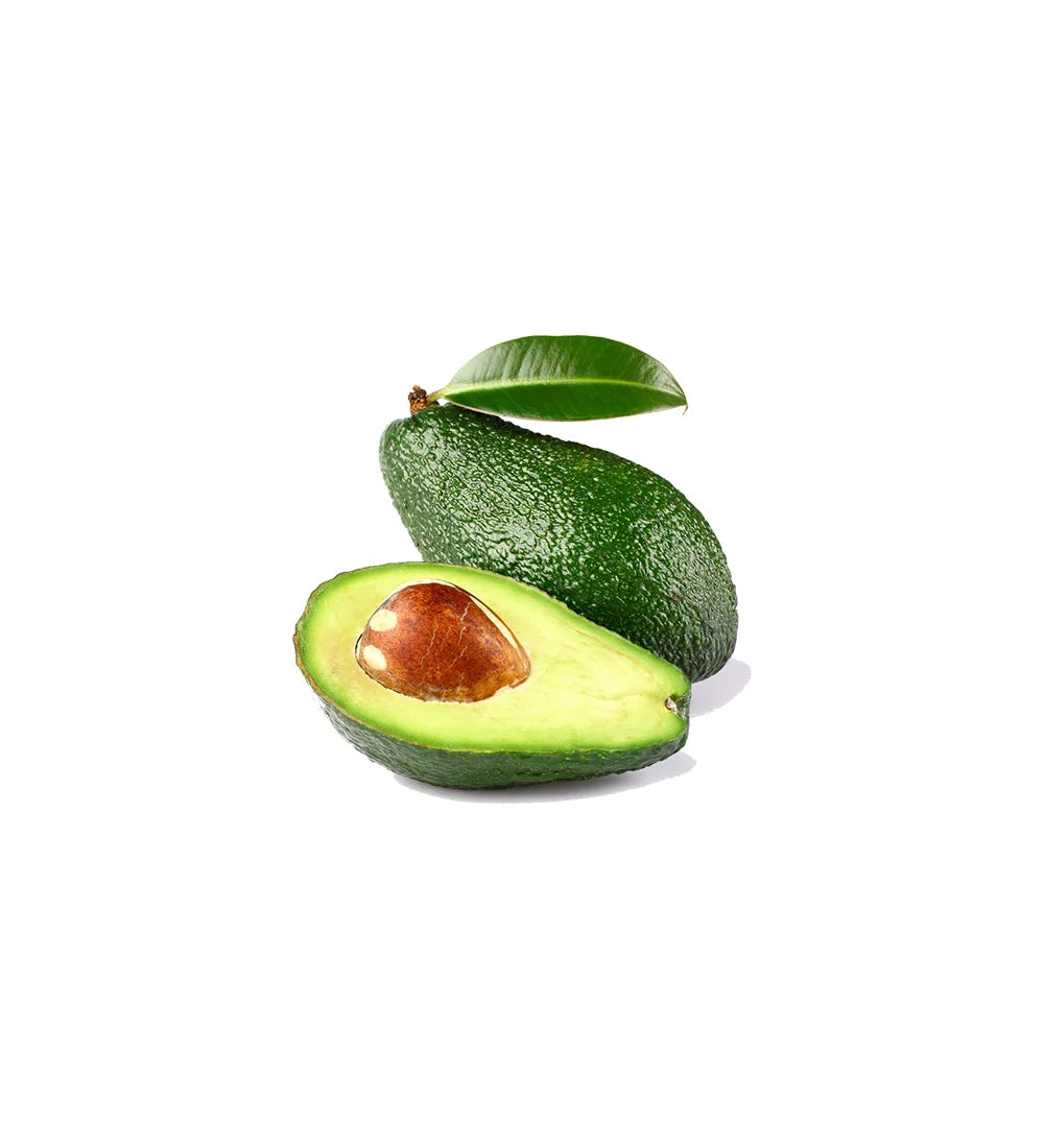 A Grade Avocado Fruit