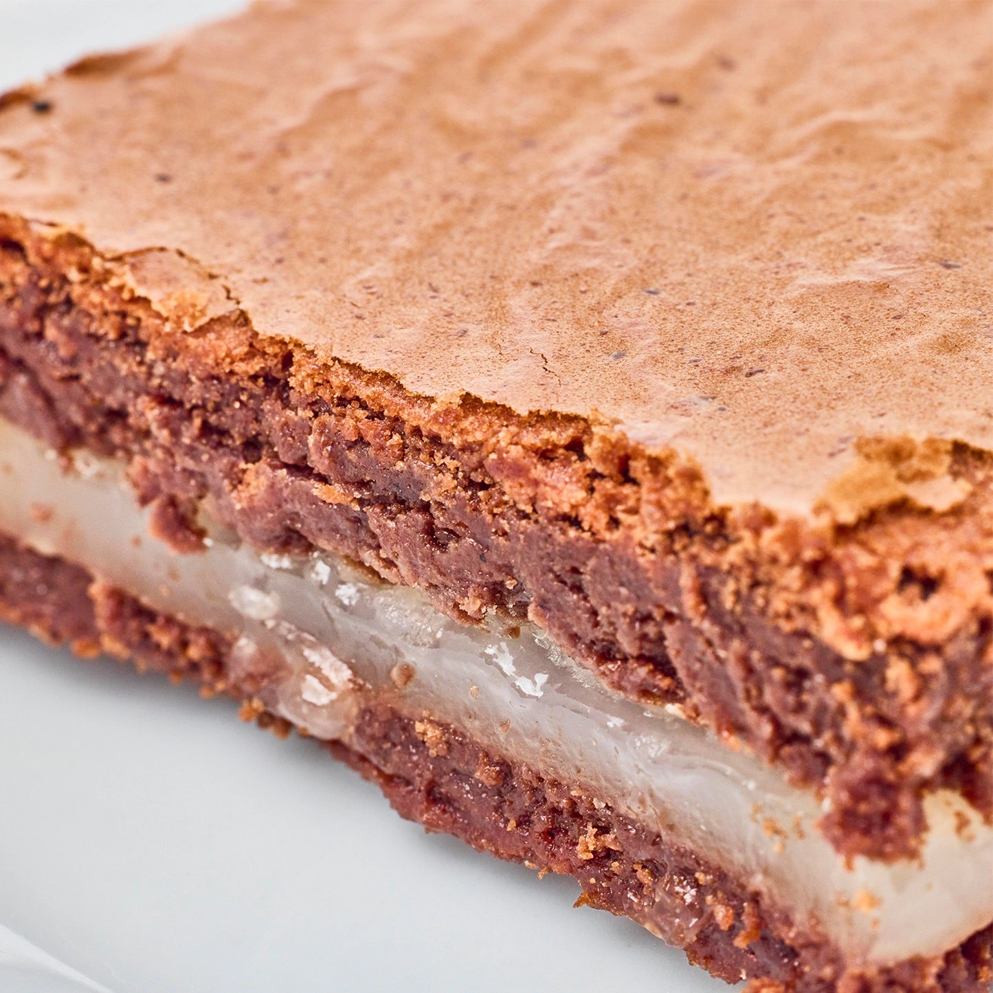 Delicious Homemade Brownie
