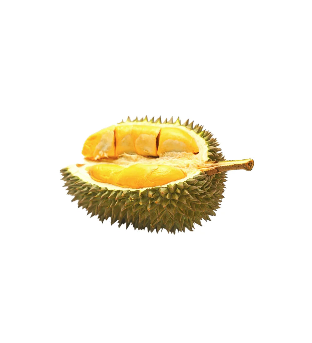 Durian King Of Fruits