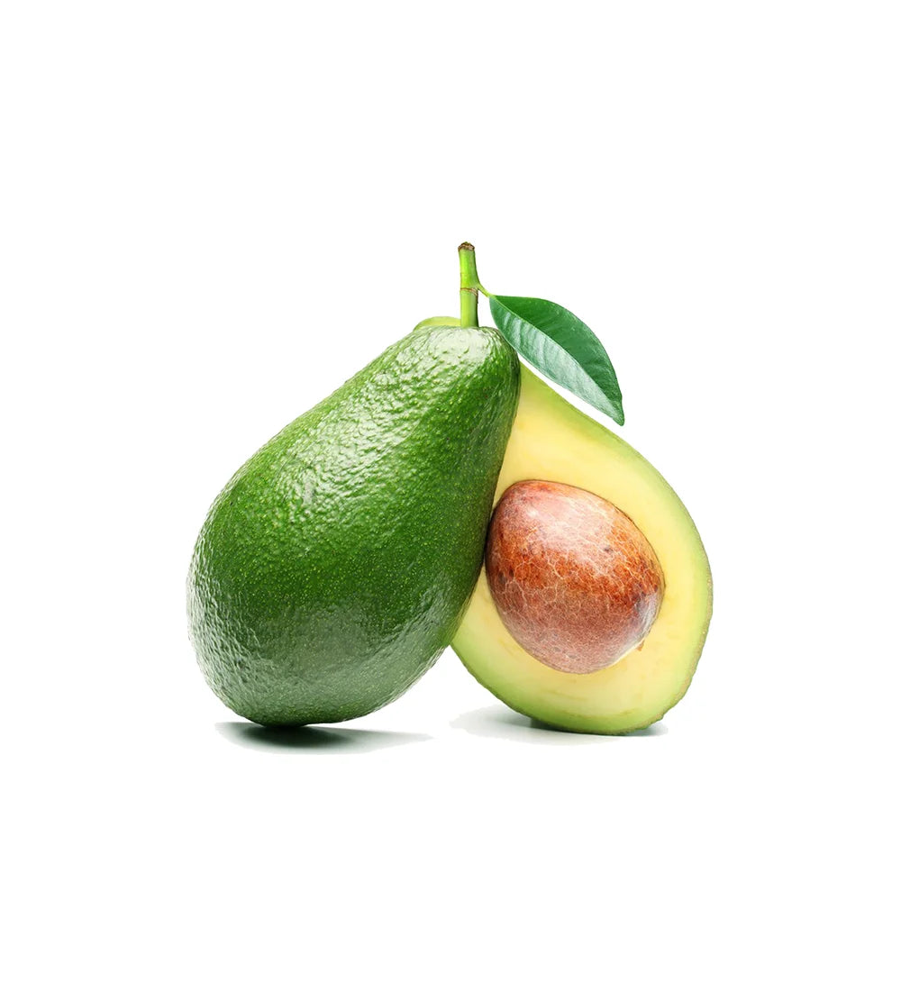 A Grade Avocado Fruit
