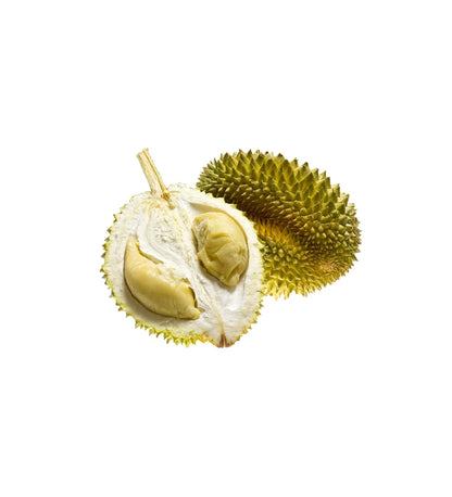 Durian King Of Fruits