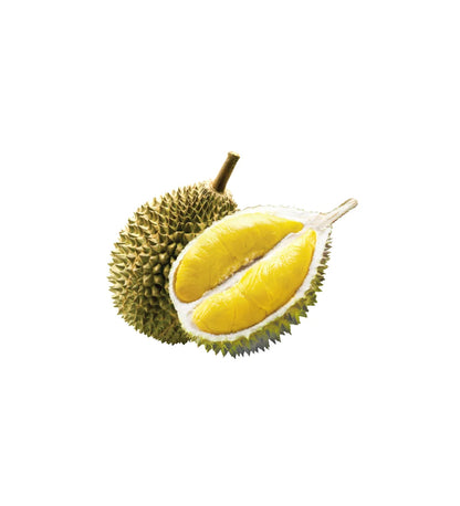 Durian King Of Fruits