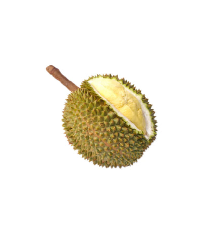 Durian King Of Fruits