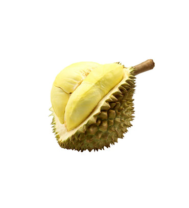Durian King Of Fruits